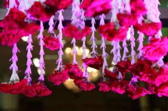 reception-in-kalingaram-arangam-001