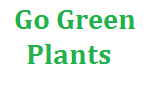 Go Green Plants