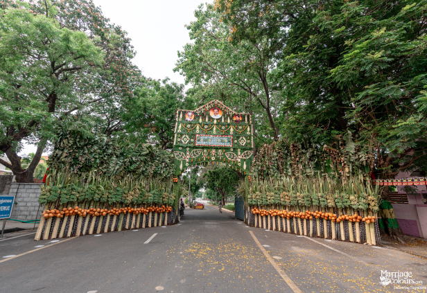 Grand, traditional South Indian wedding entrance arch decorated with natural foliage and coconuts.