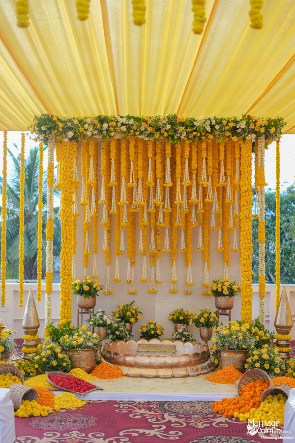 Yellow and white marigold garlands hanging from a canopy over a golden lotus pedestal for Haldi.