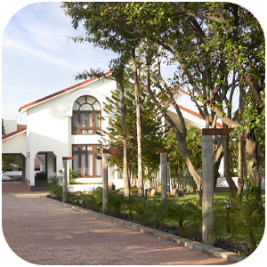 The Royal Palms