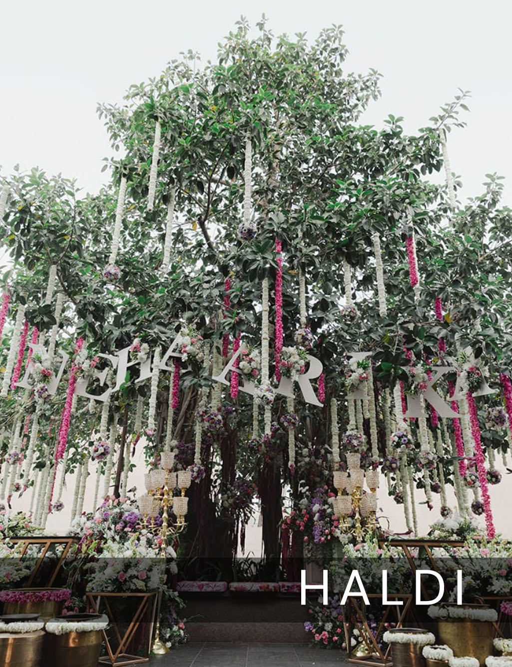 Massive banyan tree decorated with long white and pink floral hangings and custom wedding lettering for Haldi.