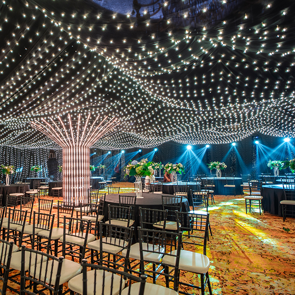 Luxury Indian wedding decor setup featuring floral stage design, elegant lighting, and themed decorations for Sangeet and Reception celebrations.